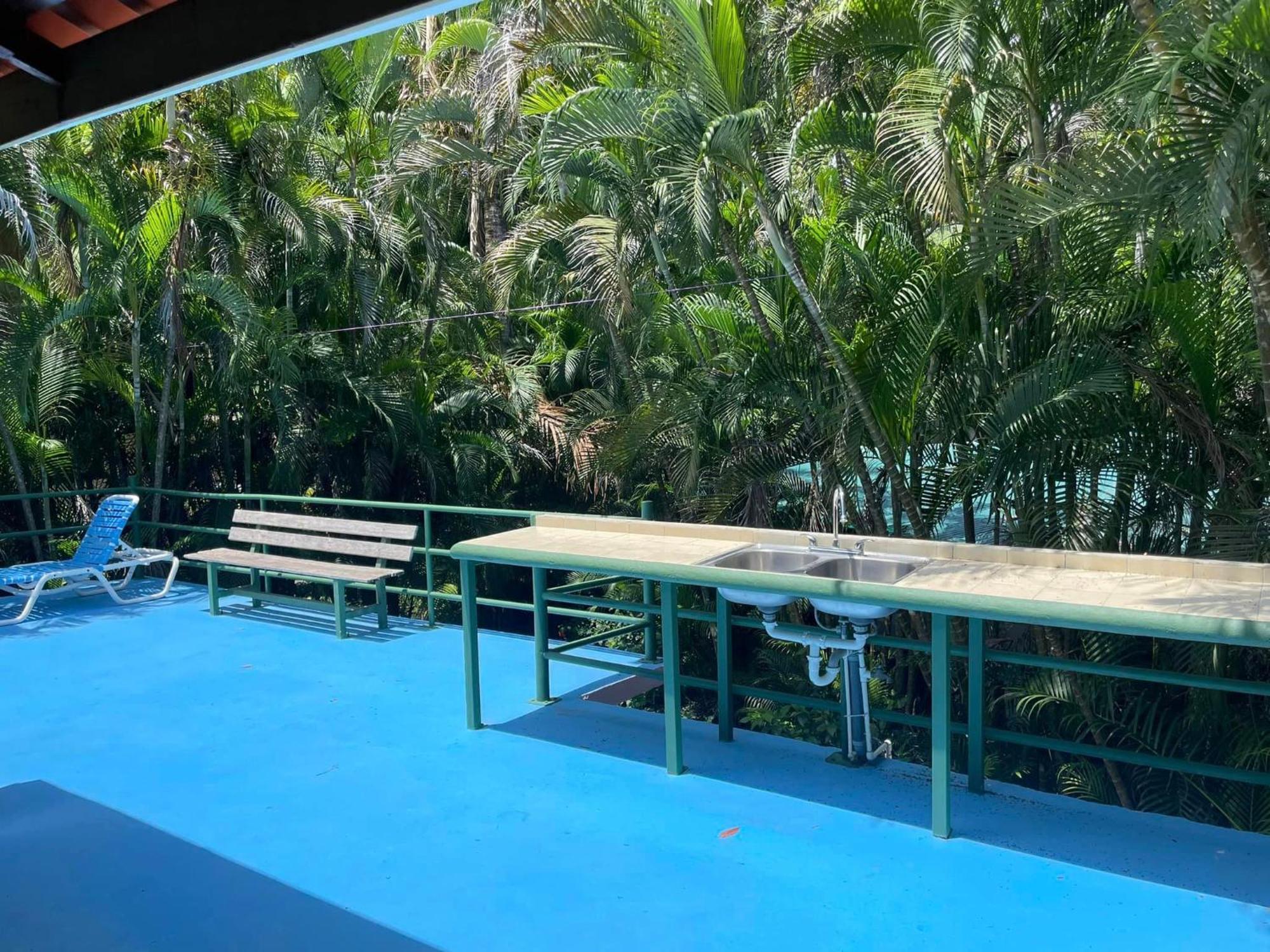 Hotel Mal Pais Surf Camp Playa Santa Teresa  Pokój zdjęcie