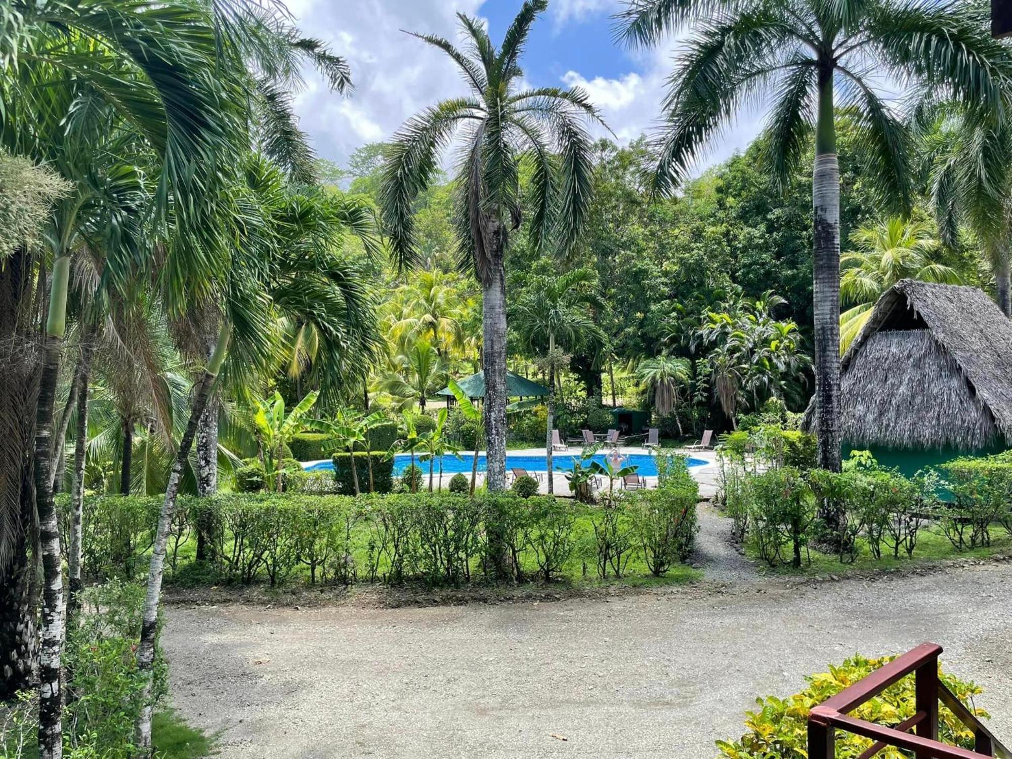 Hotel Mal Pais Surf Camp Playa Santa Teresa  Pokój zdjęcie