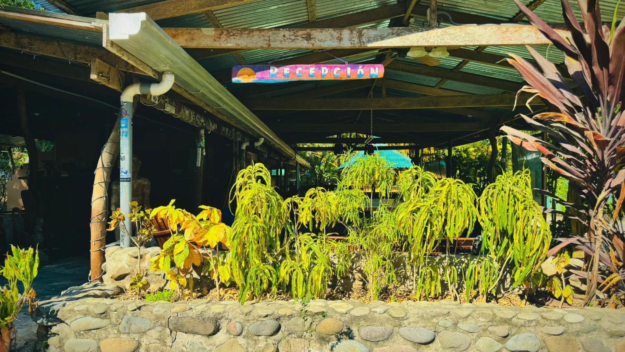 Hotel Mal Pais Surf Camp Playa Santa Teresa  Zewnętrze zdjęcie
