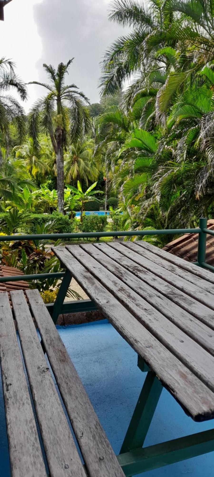 Hotel Mal Pais Surf Camp Playa Santa Teresa  Zewnętrze zdjęcie